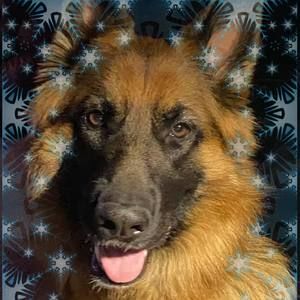 Meet your Posher, Cathy